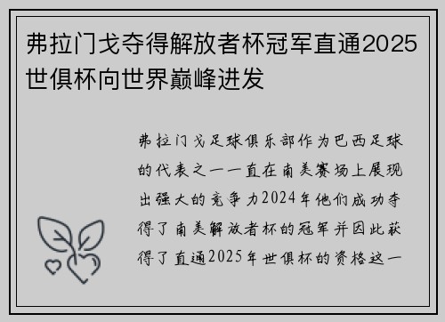 弗拉门戈夺得解放者杯冠军直通2025世俱杯向世界巅峰进发 弗拉门戈夺得解放者杯冠军直通2025世俱杯向世界巅峰进发